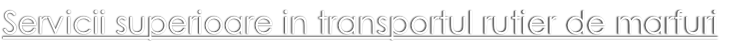Servicii superioare in transportul rutier de marfuri